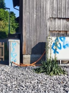 Greifensee sprayereien spray graffitis 006