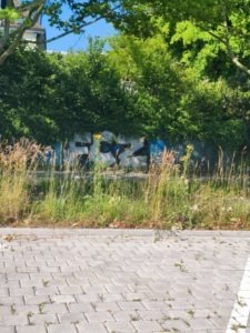 Greifensee sprayereien spray graffitis 021