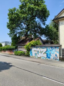 Pfäffikon zh sprayereien spray graffitis 005
