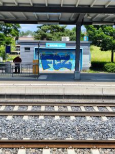Pfäffikon zh sprayereien spray graffitis 013