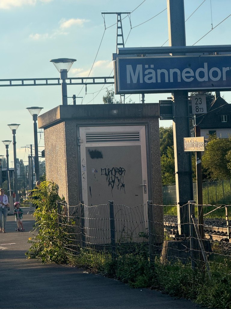Männedorf sprayereien littering graffiti 3