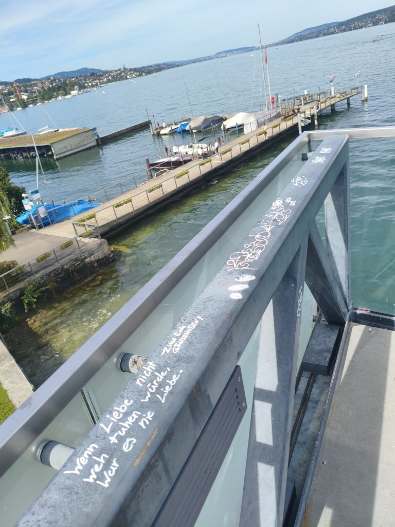 Horgen sprayereien littering graffiti 1 12