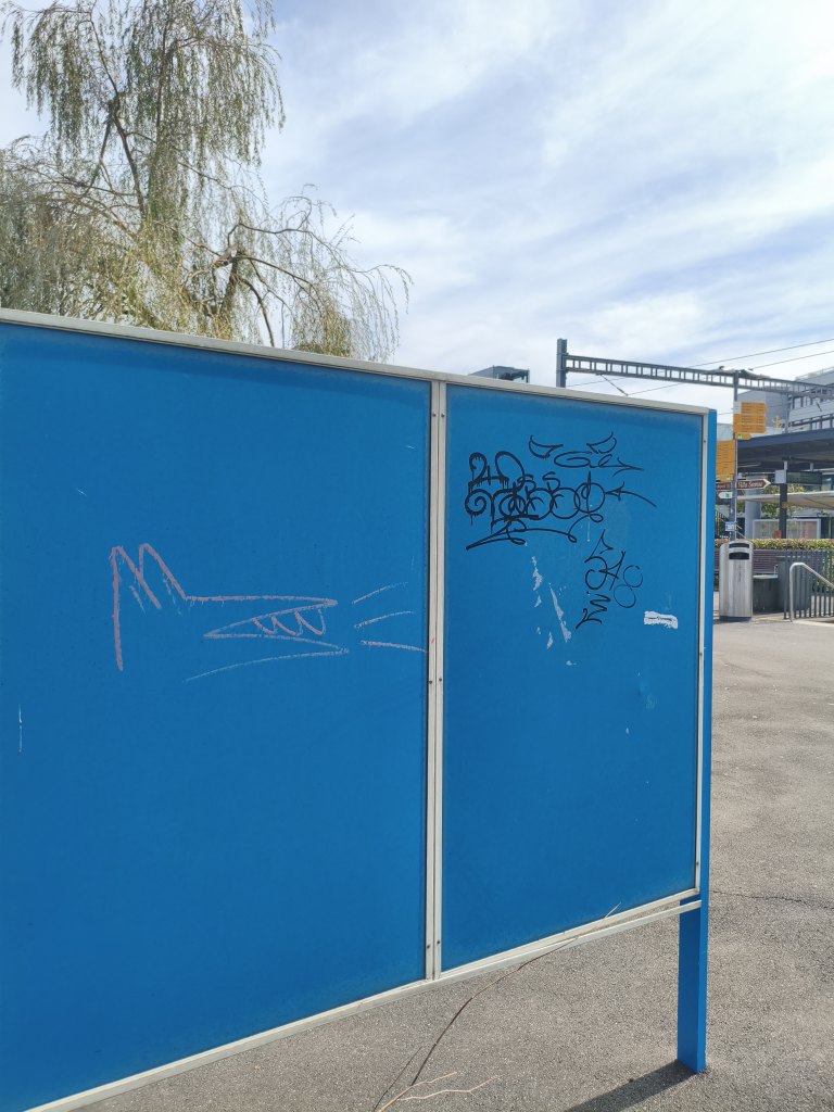 Horgen sprayereien littering graffiti 1 14