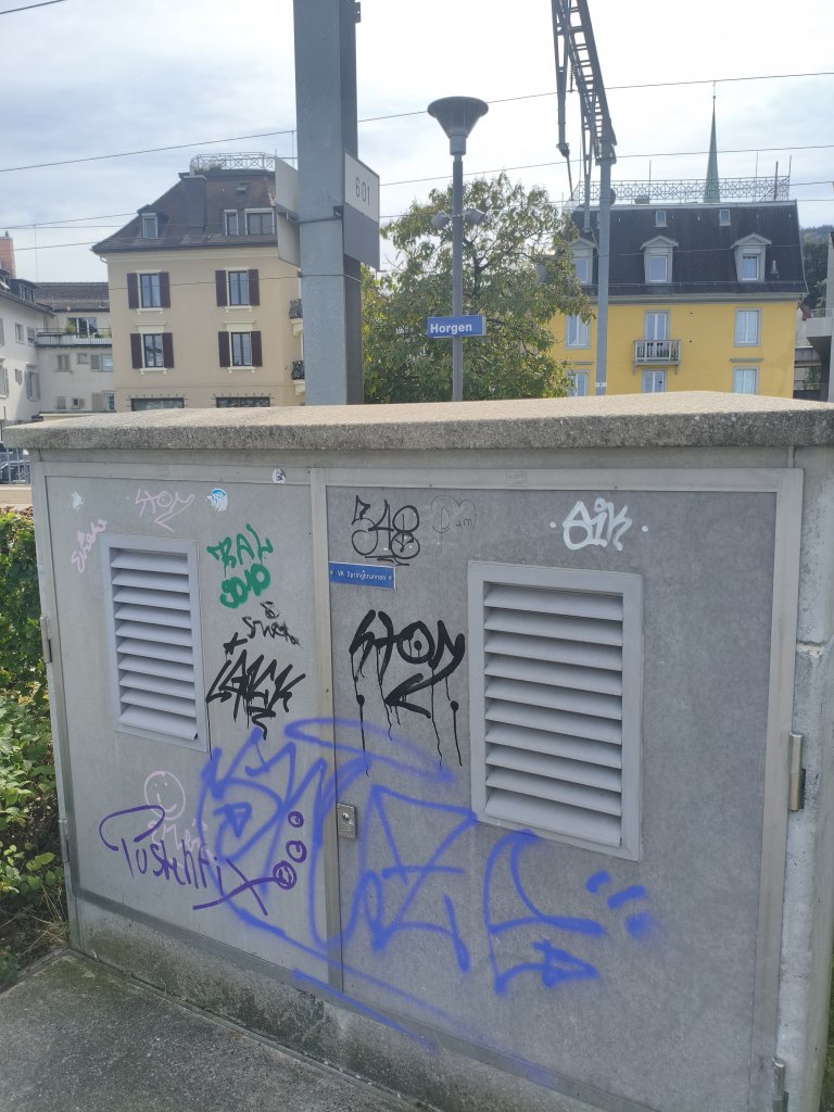 Horgen sprayereien littering graffiti 1 17