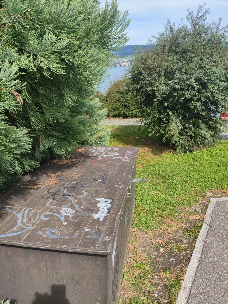 Horgen sprayereien littering graffiti 1 23