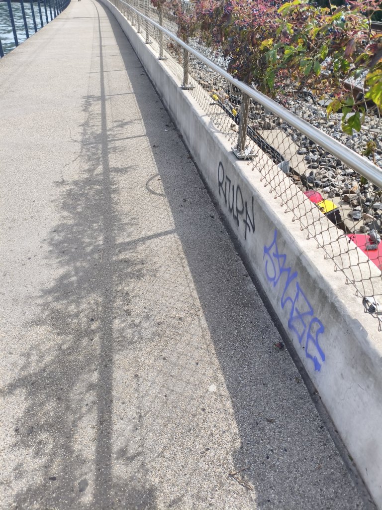 Horgen sprayereien littering graffiti 1 25