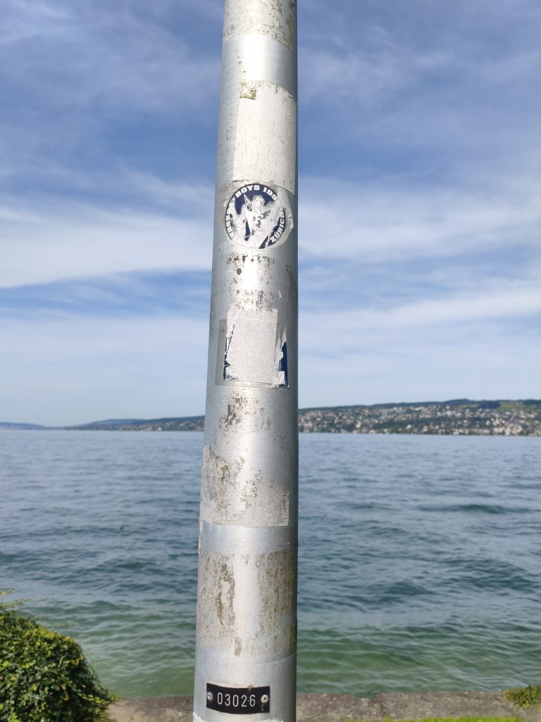 Horgen sprayereien littering graffiti 1 28