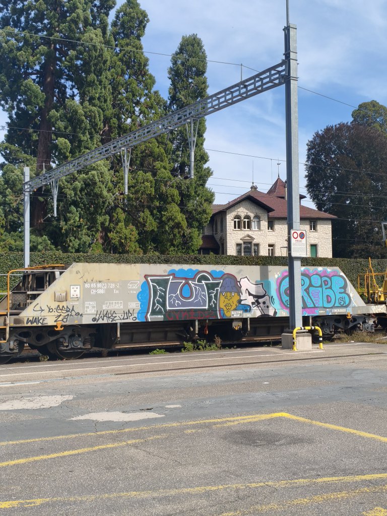 Horgen sprayereien littering graffiti 1 3