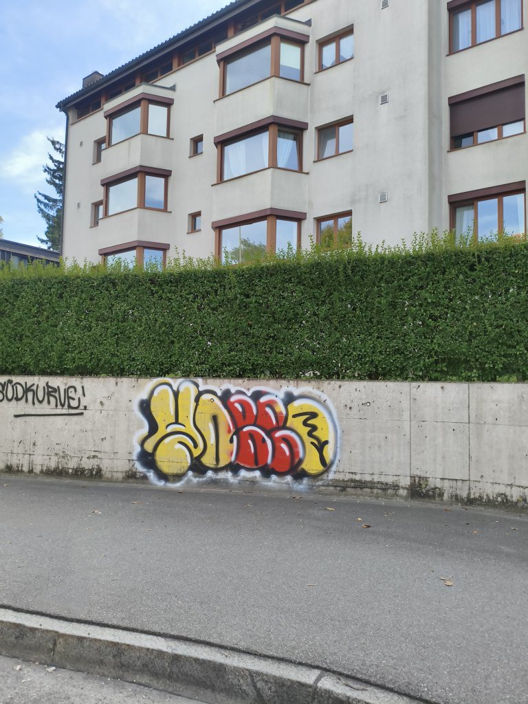 Horgen sprayereien littering graffiti 1 351