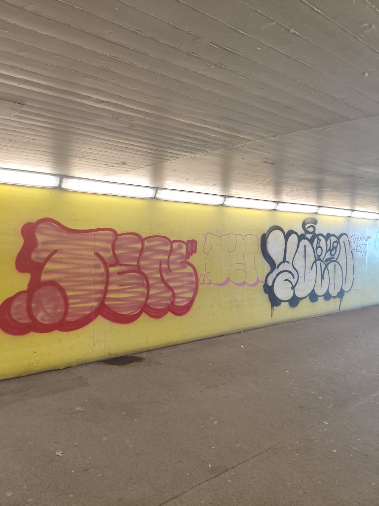 Horgen sprayereien littering graffiti 1 7