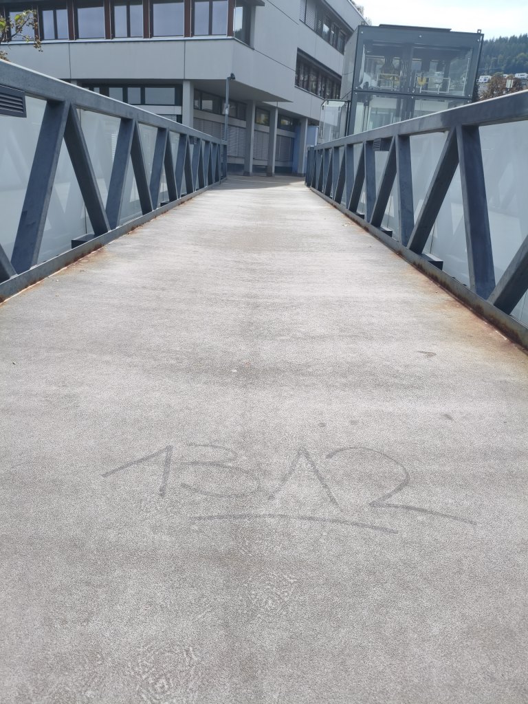 Horgen sprayereien littering graffiti 1 9