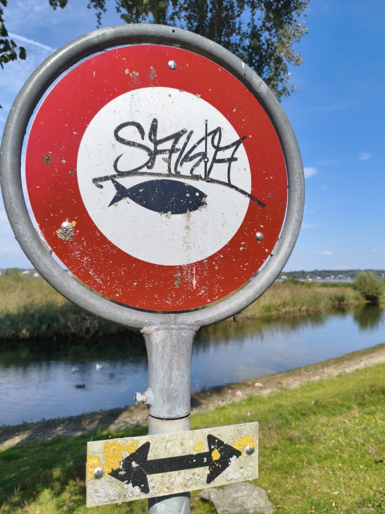 Kreuzlingen graffiti sprayereien abfall kleberli 1 34