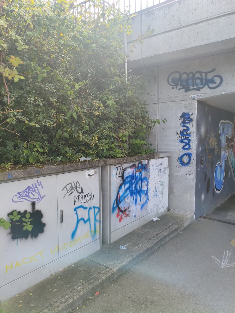 Kreuzlingen graffiti sprayereien abfall kleberli 1 52