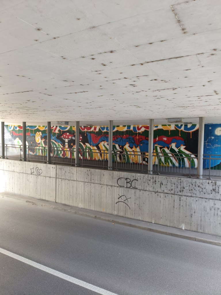 Kreuzlingen graffiti sprayereien abfall kleberli 1 54