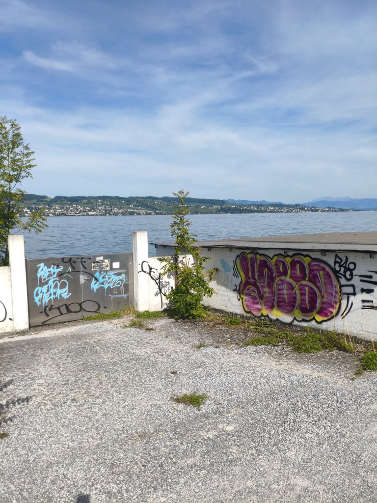 Wädenswil sprayereien littering graffiti 1 11