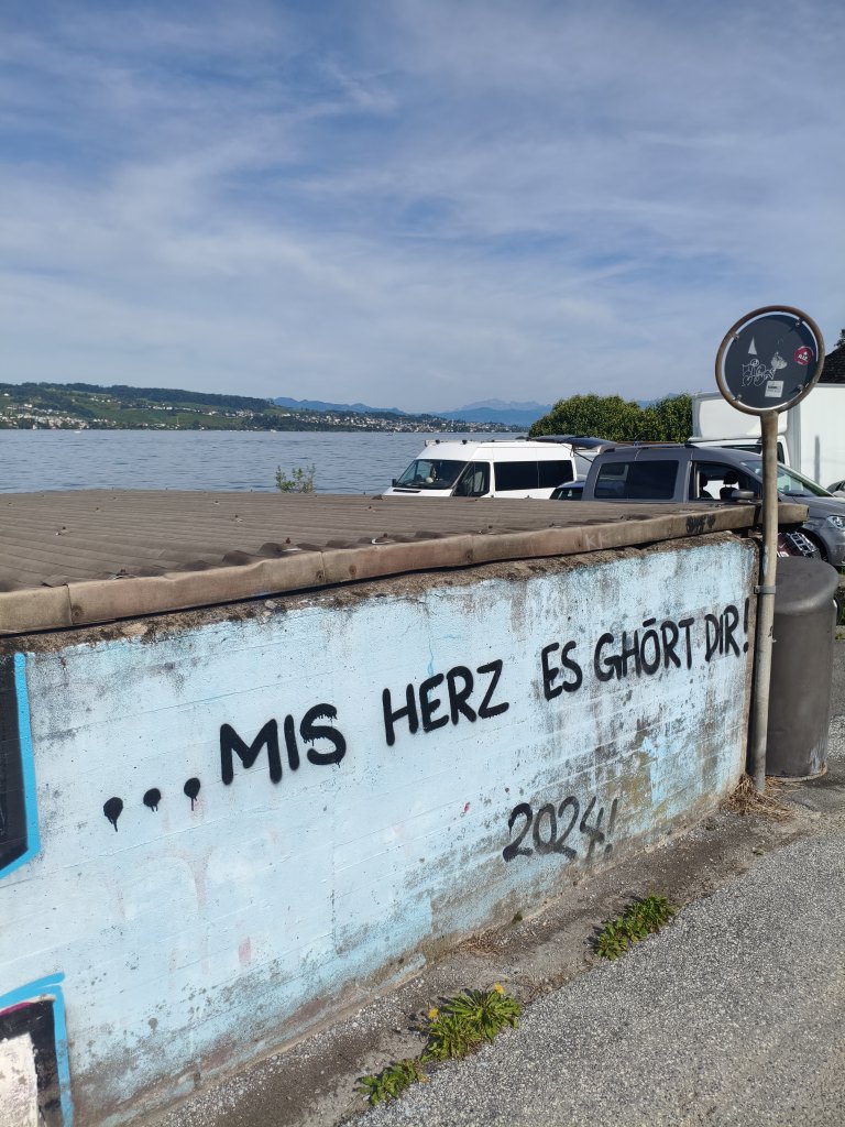 Wädenswil sprayereien littering graffiti 1 12