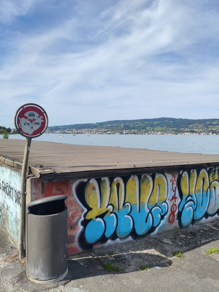 Wädenswil sprayereien littering graffiti 1 13