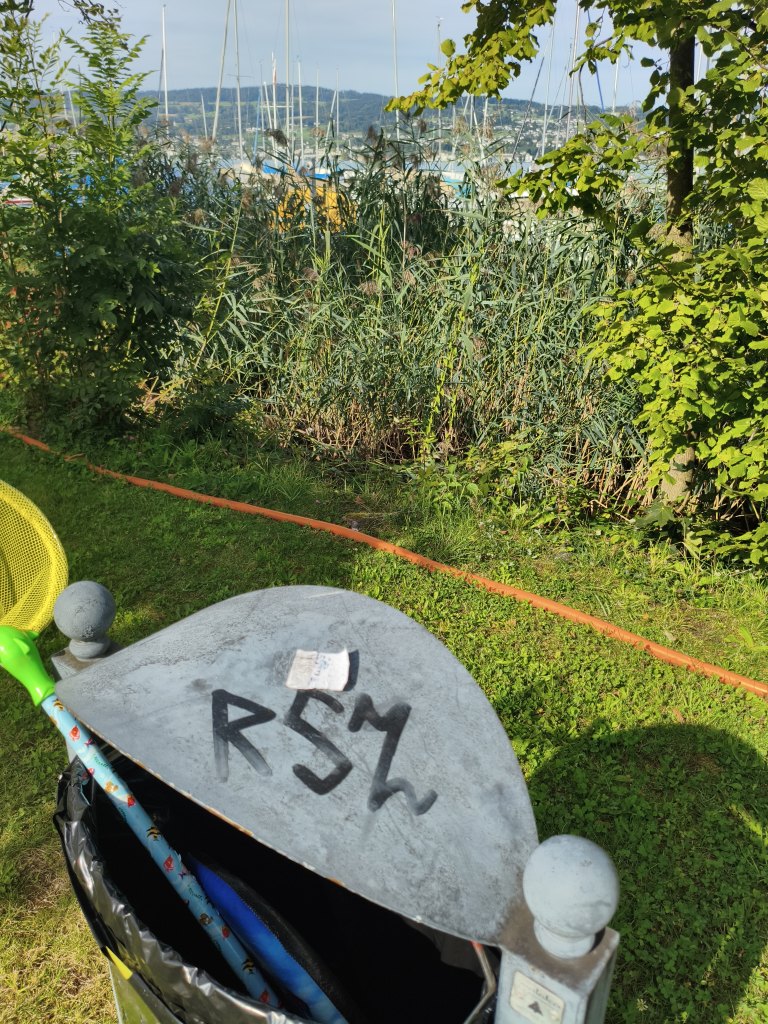 Wädenswil sprayereien littering graffiti 1 14