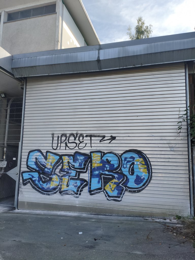 Wädenswil sprayereien littering graffiti 1 16