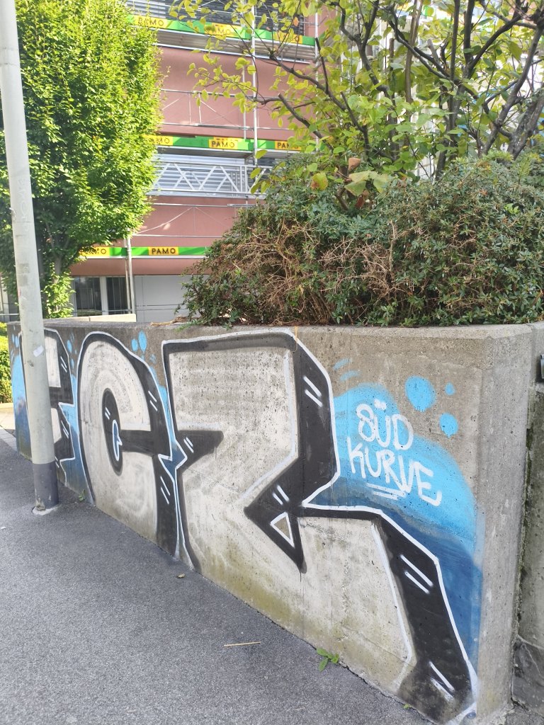 Wädenswil sprayereien littering graffiti 1 17