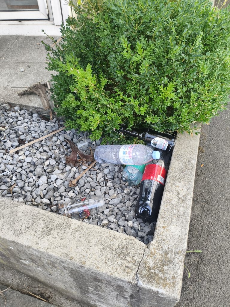 Wädenswil sprayereien littering graffiti 1 24