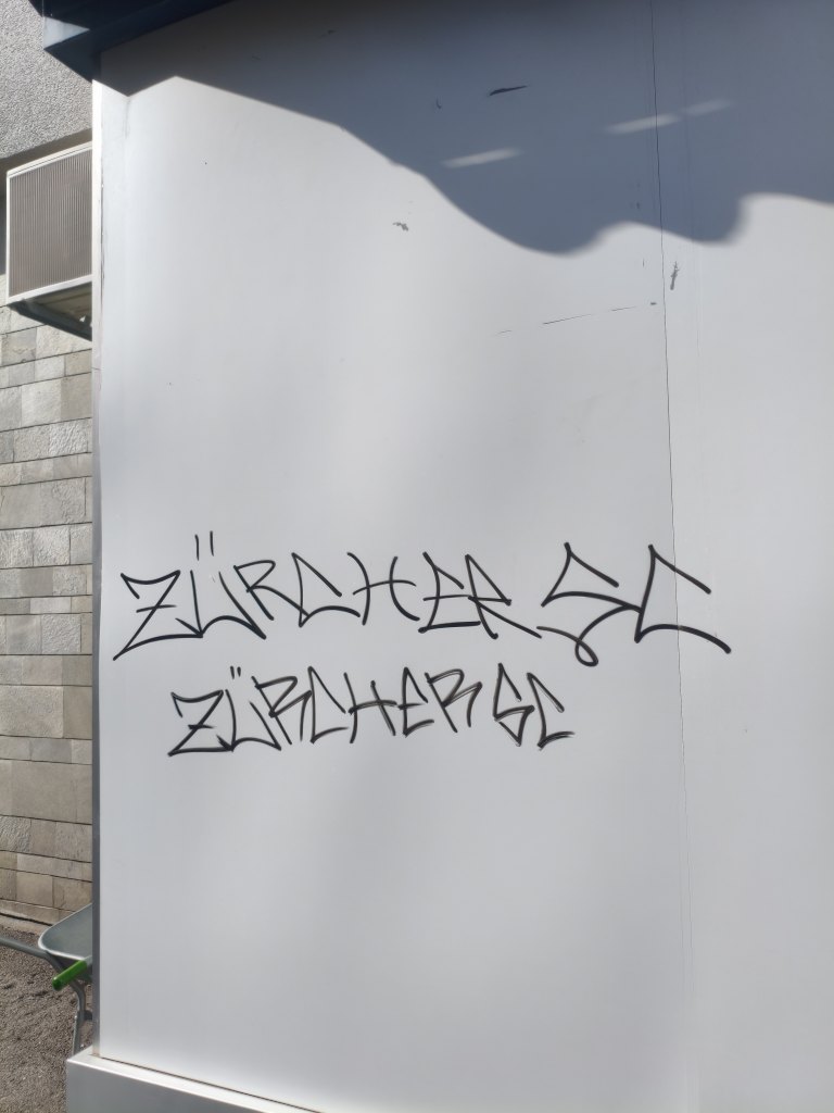 Wädenswil sprayereien littering graffiti 1 25