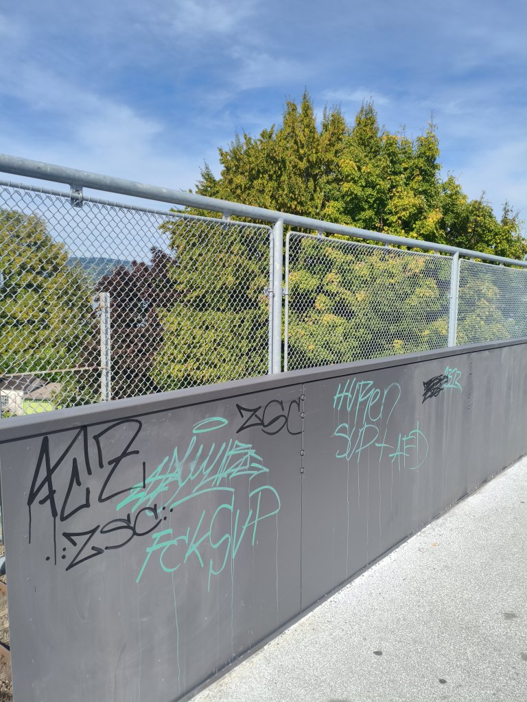 Wädenswil sprayereien littering graffiti 1 3