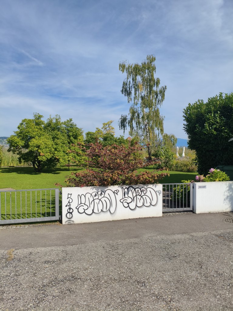 Wädenswil sprayereien littering graffiti 1 4
