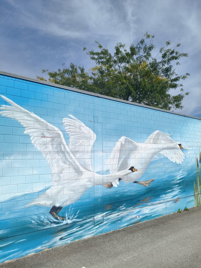 Wädenswil sprayereien littering graffiti 1 5