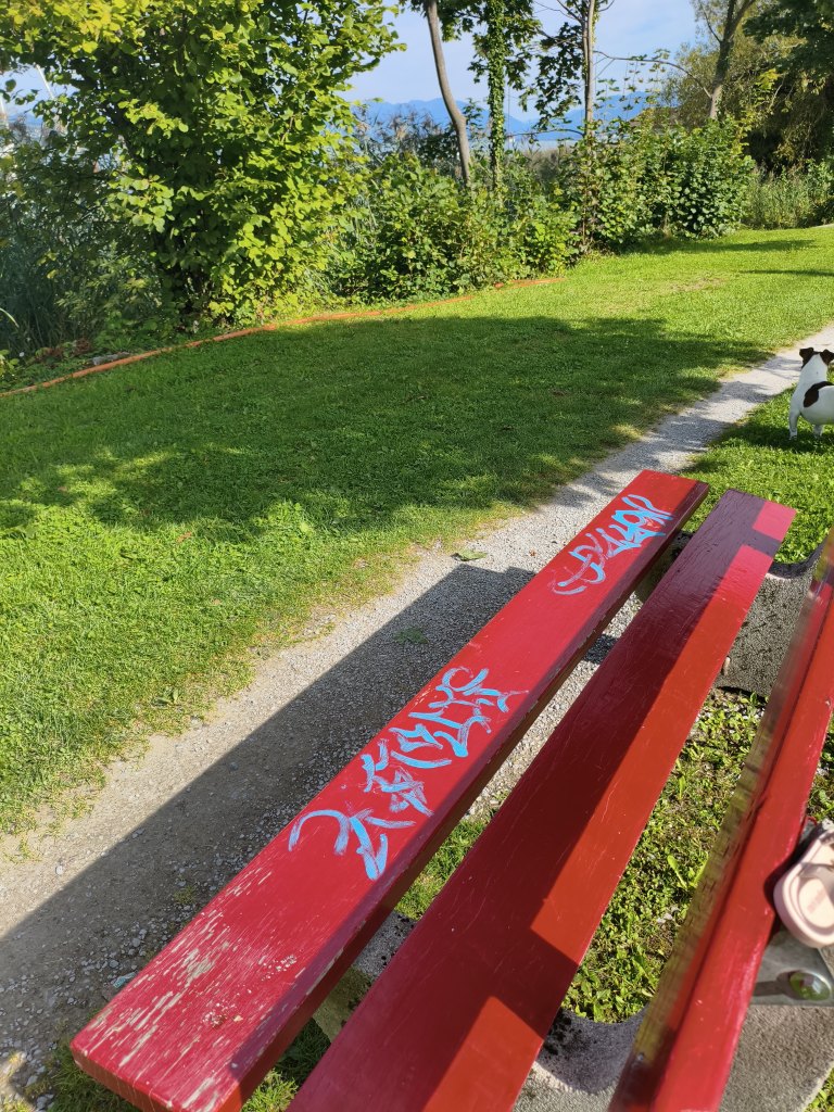 Wädenswil sprayereien littering graffiti 1 7