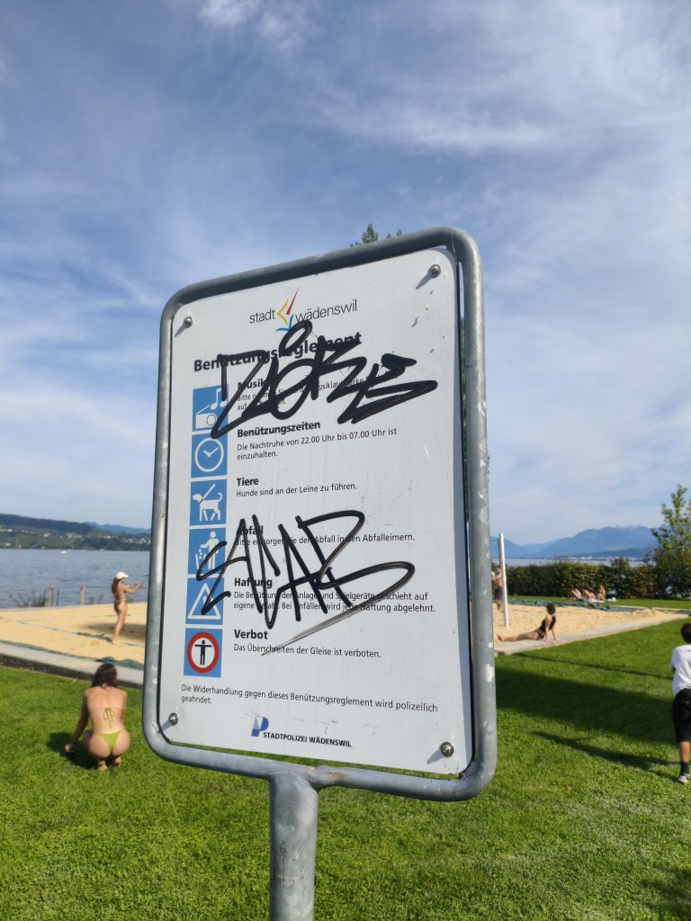 Wädenswil sprayereien littering graffiti 1 8