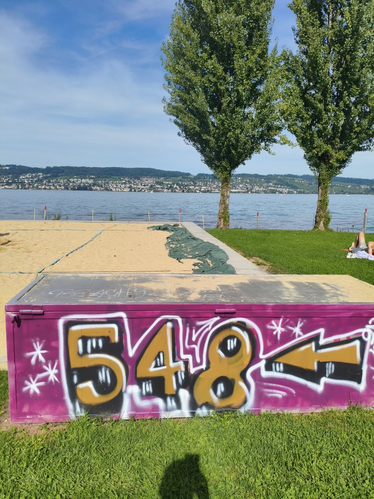 Wädenswil sprayereien littering graffiti 1 9