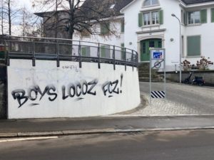 Saubere schweiz züüri 4