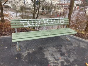 Saubere schweiz züüri 7