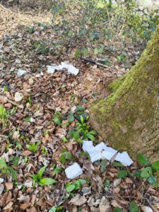 Graffiti schweiz winterthur wald 2026